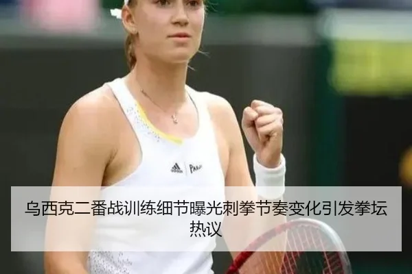 乌西克二番战训练细节曝光刺拳节奏变化引发拳坛热议（OETYSPORTS）